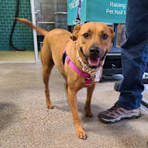 Thumbnail photo of Ameri #1