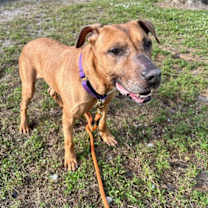 Thumbnail photo of Wednesday  #4