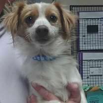 Thumbnail photo of Mickey $500 #2