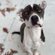 Thumbnail photo of Lucky 25-D0539 #1