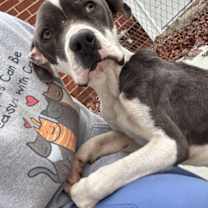 Thumbnail photo of Lucky 25-D0539 #2