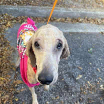 Thumbnail photo of Bruno Athens #2