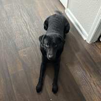 Thumbnail photo of Gunner #1