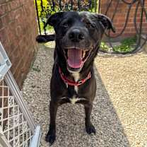 Thumbnail photo of Booth #1