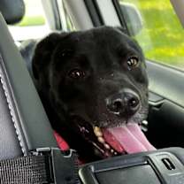 Thumbnail photo of Booth #3