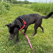 Thumbnail photo of Booth #4