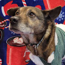 Thumbnail photo of Johnny #4