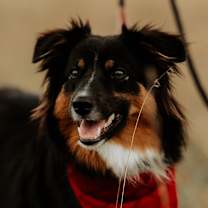 Thumbnail photo of Hudson #3