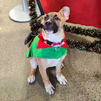 Thumbnail photo of Holly #3