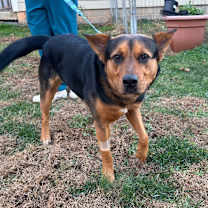 Thumbnail photo of Patrick #4