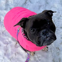 Thumbnail photo of Beauty #1