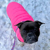 Thumbnail photo of Beauty #3