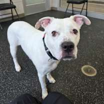 Thumbnail photo of Snow #2