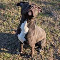 Thumbnail photo of Riker #2