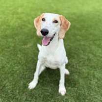 Thumbnail photo of Justina - 2 #1