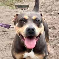 Thumbnail photo of Penny #3