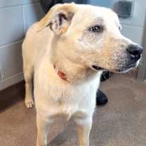 Thumbnail photo of Freckles #2