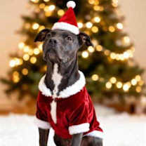 Thumbnail photo of Luna #3