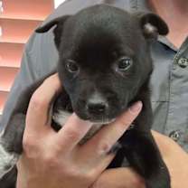 Thumbnail photo of Storm #2