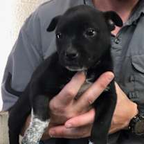 Thumbnail photo of Storm #3