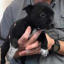 Thumbnail photo of Storm #4