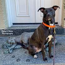 Thumbnail photo of Smokey Donut #4