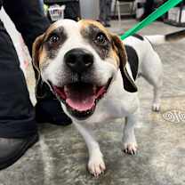 Thumbnail photo of Frank  #1