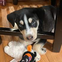 Thumbnail photo of Ebenezer #1