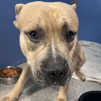 Thumbnail photo of Rock #2