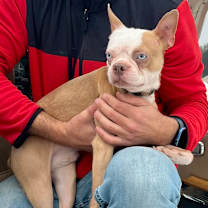 Thumbnail photo of Batman #3