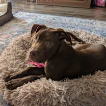 Thumbnail photo of Zain #1