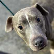 Thumbnail photo of Jackson #1