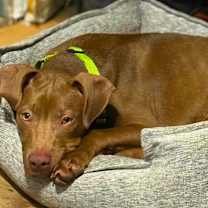 Thumbnail photo of Zain #2