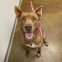 Thumbnail photo of Navy #1