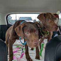 Thumbnail photo of Liam #3