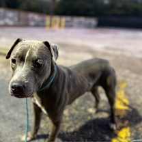 Thumbnail photo of Jackson #2