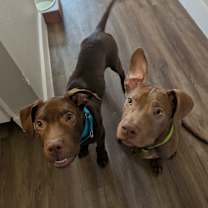 Thumbnail photo of Zain #3