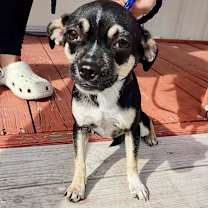 Thumbnail photo of MERCEDES #1