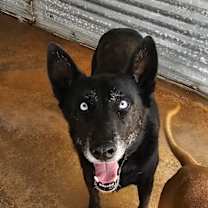 Thumbnail photo of Oakley #2