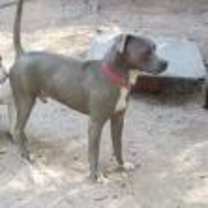 Thumbnail photo of Jackson #4