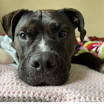 Thumbnail photo of Keda #4