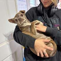 Thumbnail photo of Sunny #3