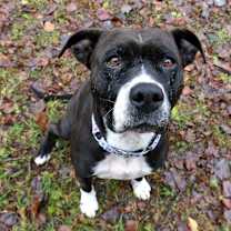 Thumbnail photo of Amara #2