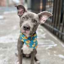 Thumbnail photo of Grayson #1