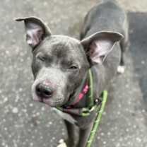 Thumbnail photo of Grayson #4