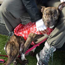 Thumbnail photo of Atlantis #2