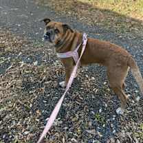 Thumbnail photo of Bama #3