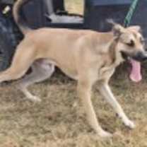 Thumbnail photo of Magnum #2