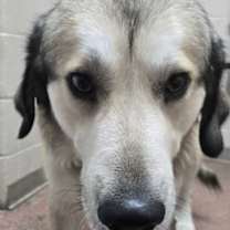 Thumbnail photo of Hopper #2