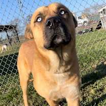 Thumbnail photo of BIGFOOT #2